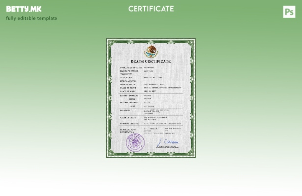 Модерен стил шаблон за PSD сертификат за смрт во Мексико